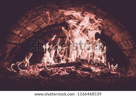 Dark background. Concepts of cooking on a fire in the oven. Close up. Fire in the oven. Pizza in the coals.