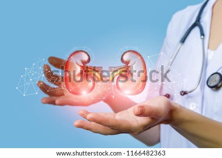 Nurse supports the person's kidney on a blue background.