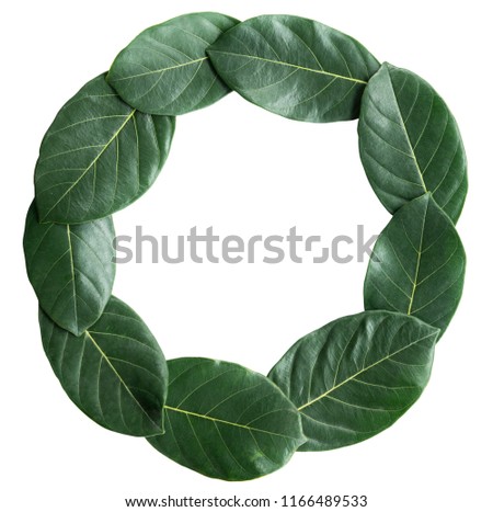 Arranged or decorate leaf, leaves. There is an art design frame leaf. A circle leaf design backdrop, wallpaper, art work 