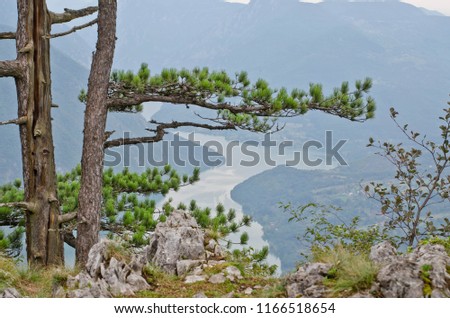 Mountain viewpoint. Beautiful nature. Drina river  and Tara mountain - Serbia