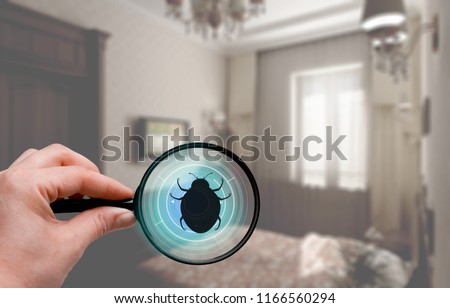 Hand with magnifying glass detecting bed bug