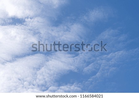 Fluffy  clouds   in  the  blue  sky,
background  texture.
