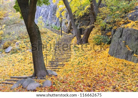 Stairway with colorful autumn leaves
