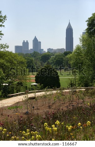 Atlanta skyline as seen from public gardens