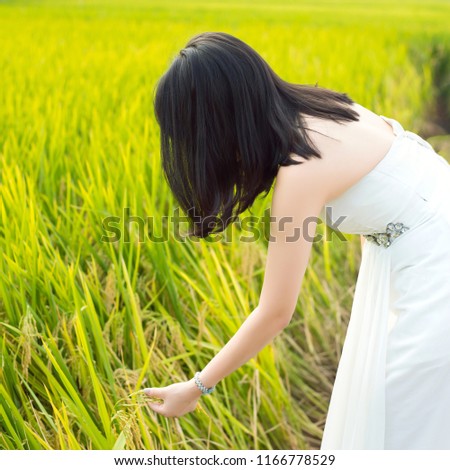A white dressed girl plays violin in the golden rice field nature.