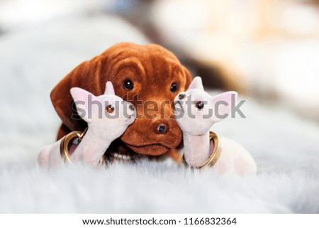 toy dog with puppies