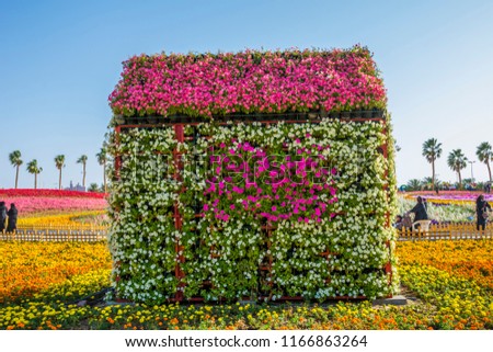 Flower carpet in Yanbu flower show, The Yanbu Flower Festival is one of the biggest festivals in Saudi Arabia. In the 2017 edition of it they managed to make the largest carpet of flowers/plants