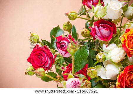 large bouquet of multicolored roses on a brown background closeup
