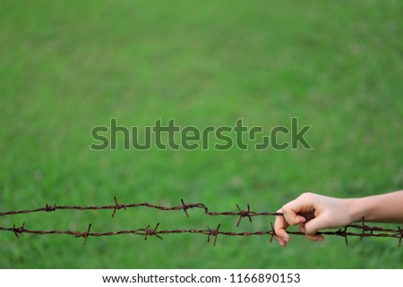 Hand On A Rusty Barbed Wire On The Green Background