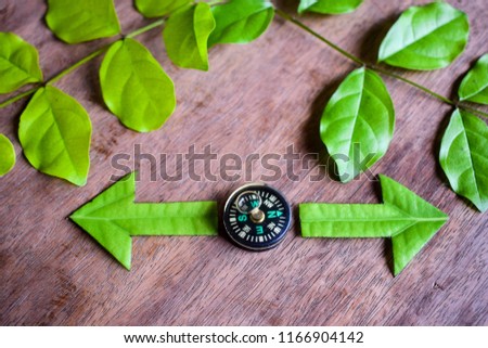 Compass with green leaf direction arrows on wooden table. Photo can use for hiking activity