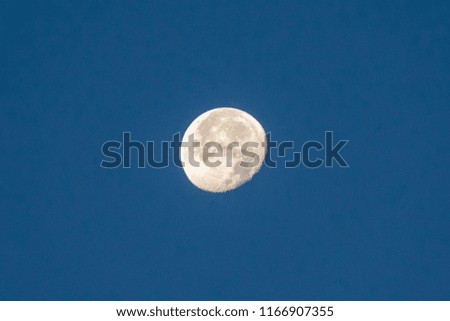 The beautiful full moon. Background, wallpaper