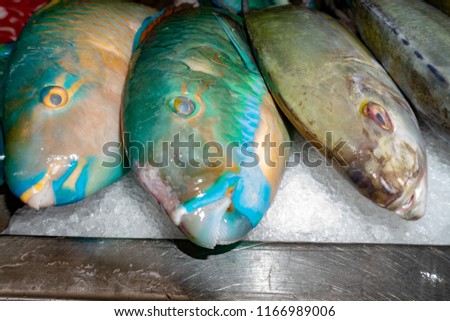 parrot fish at fish market of papetee french polynesia