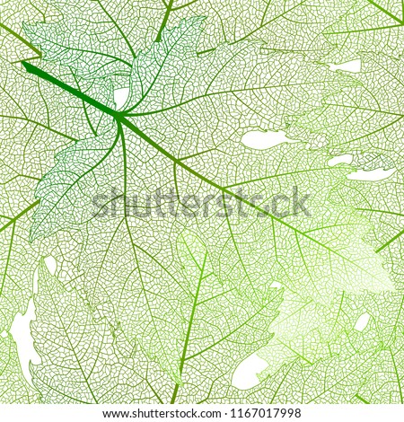 Seamless pattern with green maple leaves . Vector, EPS 10.