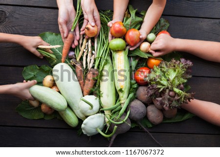 Fresh nutrient vegetarian food, farming sustainable. Royalty-Free Stock Photo #1167067372