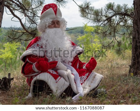 Father Frost meditates outdoors. The New Year's character sits in a lotus pose under fir-trees in the summer.