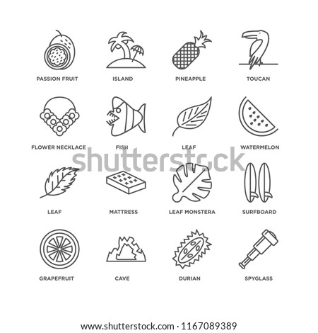 Set Of 16 simple line icons such as Spyglass, Durian, Cave, Grapefruit, Surfboard, Passion fruit, Flower necklace, Leaf, editable stroke icon pack, pixel perfect