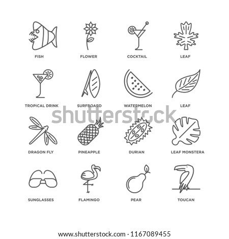 Set Of 16 simple line icons such as Toucan, Pear, Flamingo, Sunglasses, Leaf monstera, Fish, Tropical drink, Dragon fly, Watermelon, editable stroke icon pack, pixel perfect