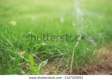 horizontal photo with a picture of a green grass, in the foreground smoke from an aroma sticks