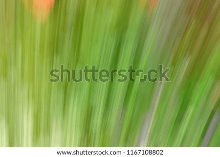 green surface with blur effect from the rotation of flowers, background