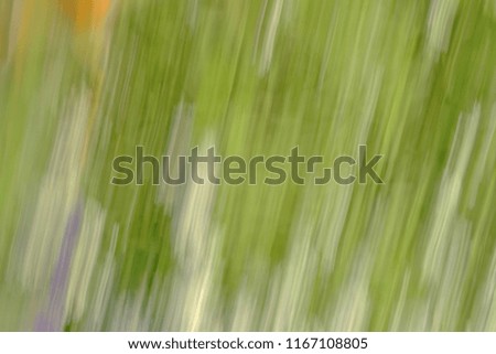 green surface with blur effect from the rotation of flowers, background