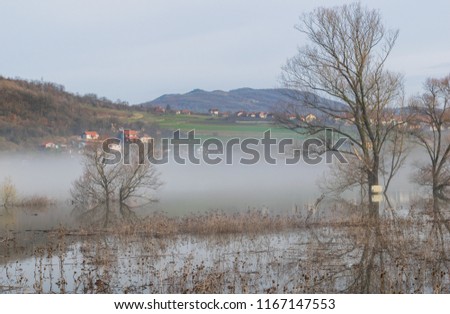 Beautiful landscape picture of village a tree in a flooded lake on a moody misty early spring morning