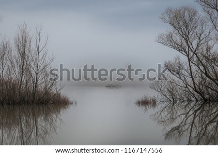 Beautiful landscape picture of a tree in a flooded lake on a moody misty early spring morning