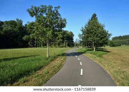 New high quality asphalt cycle path in a beautiful nature. Czech Republic, Europe.