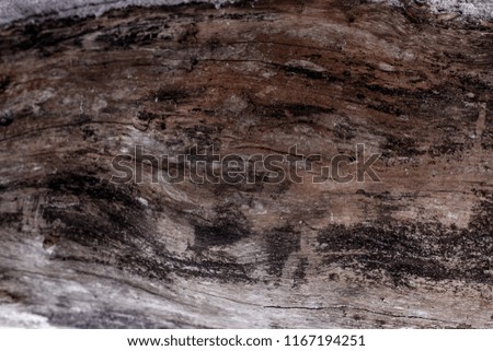 Rustic wooden texture, empty Soft wood background with natural pattern