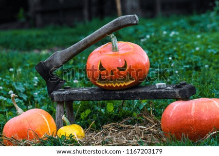 Halloween pumpkin, ax against the background of green grass. Halloween Celebration