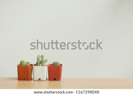 Collection of various cactus and succulent plants. Potted cactus house plants on brown wood table,copy space.