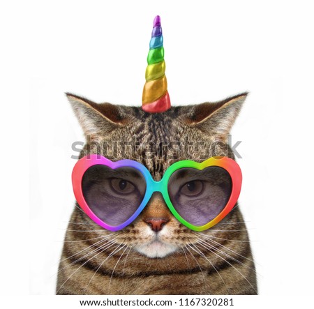 The cat unicorn is wearing cute glasses. White background.