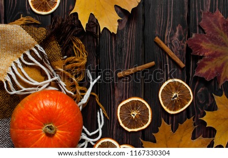Orange pumpkin, cinnamon, slices of dried orange, autumn colorful leaves and checkered plaid on a dark wooden background top view with space for text. Autumn Pumpkin Thanksgiving Background. 