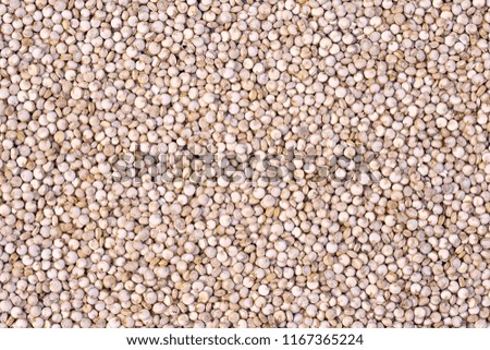 Quinoa (Chenopodium quinoa), background texture