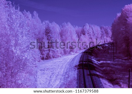 railway in the forest, infrared photo