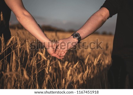 couple holding hands in a wheat field