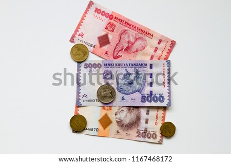 Colorful background of mixed banknotes and coins of Tanzanian Shilling with endangered wildlife on the back