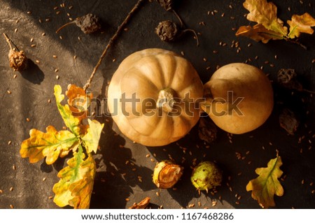Food  autumn background with two pumpkins. Top view