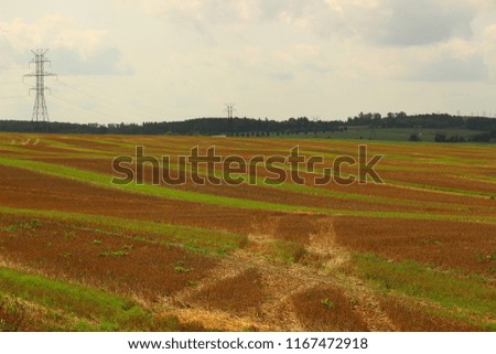 Scenic rural landscape 