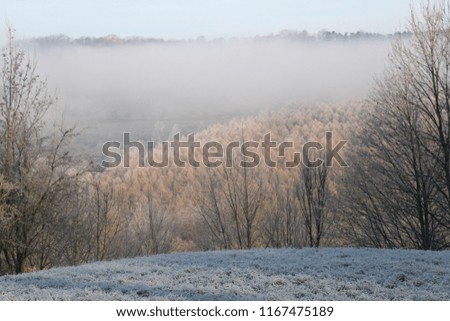 Landscape in winter