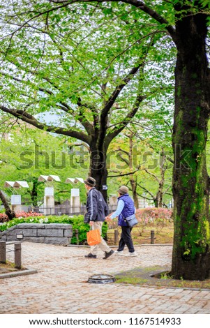 Japanese garden, The garden in Japan. Couple catching hands and walking together in park.