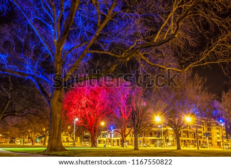 City lights are bright and colorful at night in Latimer Square, Christchurch, New Zealand 