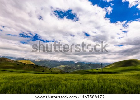 Landscape of the field of wheat with cloudy sky in Erzincan, Turkey. Erzincan  in northeastern Turkey.