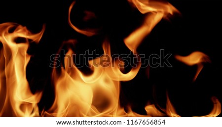 fire stock image