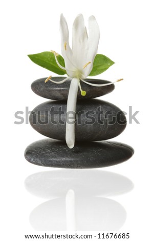 Stacked stones with flower