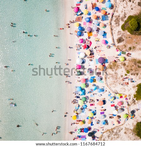 Aerial view of a white beach full of colored beach umbrellas and relaxed people swimming on a clear sea. Cala Brandinchi, Sardinia, Italy.
