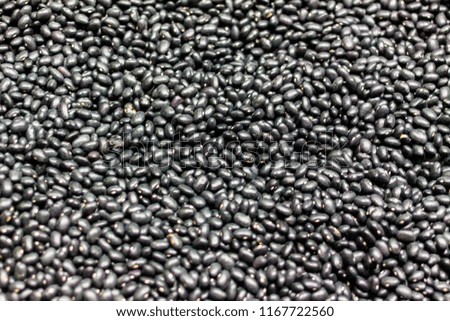 Small black faba beans (called "negritos" o "alubia negra") background