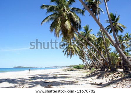 Beachfront in Uppuveli, Sri Lanka Royalty-Free Stock Photo #11678782