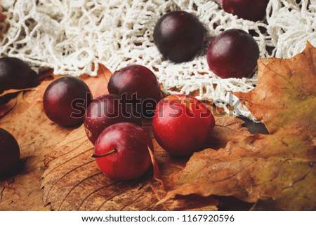 fruits on autumn leaves