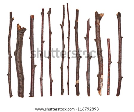 set macro branches isolated on white background, clipping path Royalty-Free Stock Photo #116792893