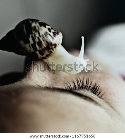 snail on the face